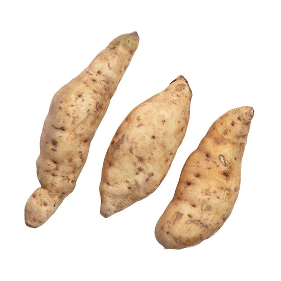 White Sweet Potato