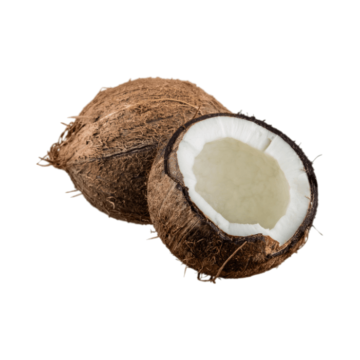 Coconut (Single)