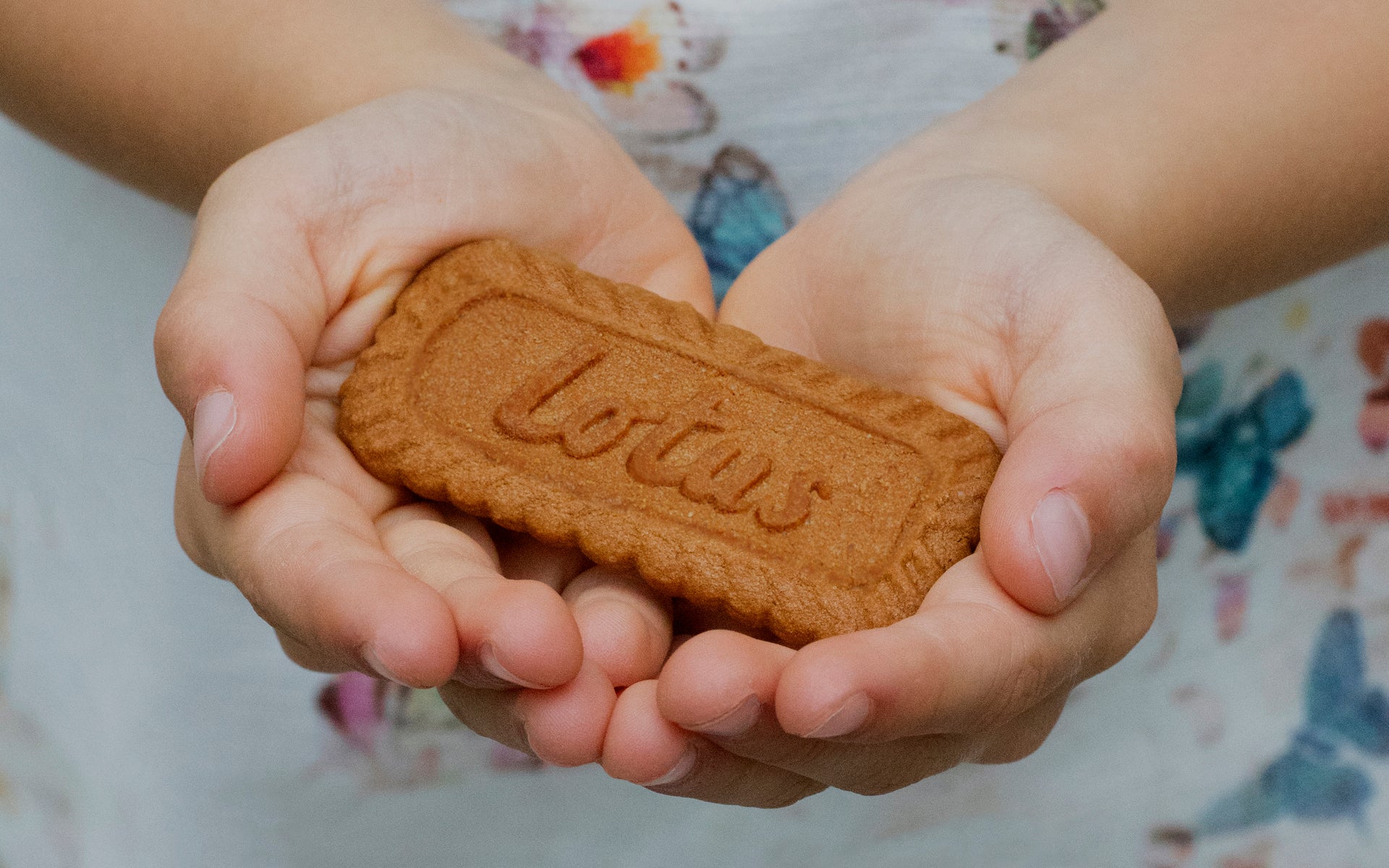 Lotus Biscoff - 250g