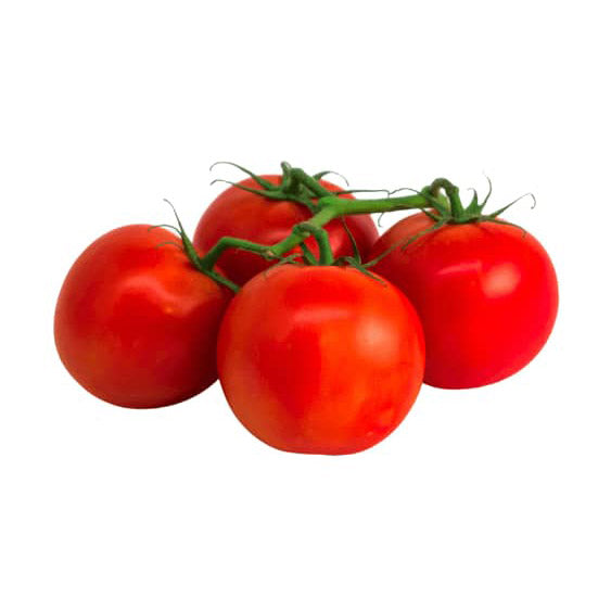 Vine Tomato