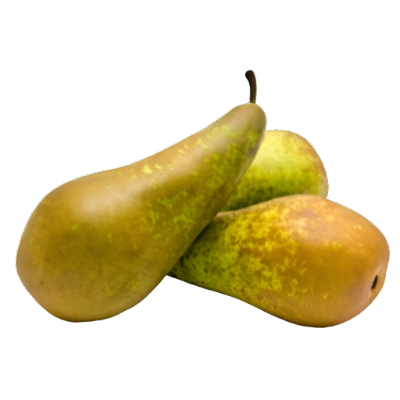 Conference Pear