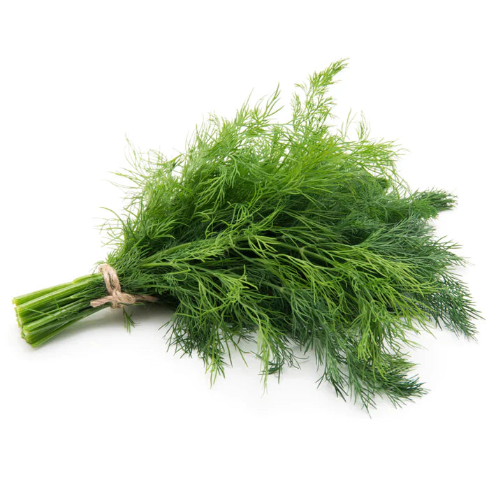 Dill Bunch (Single)