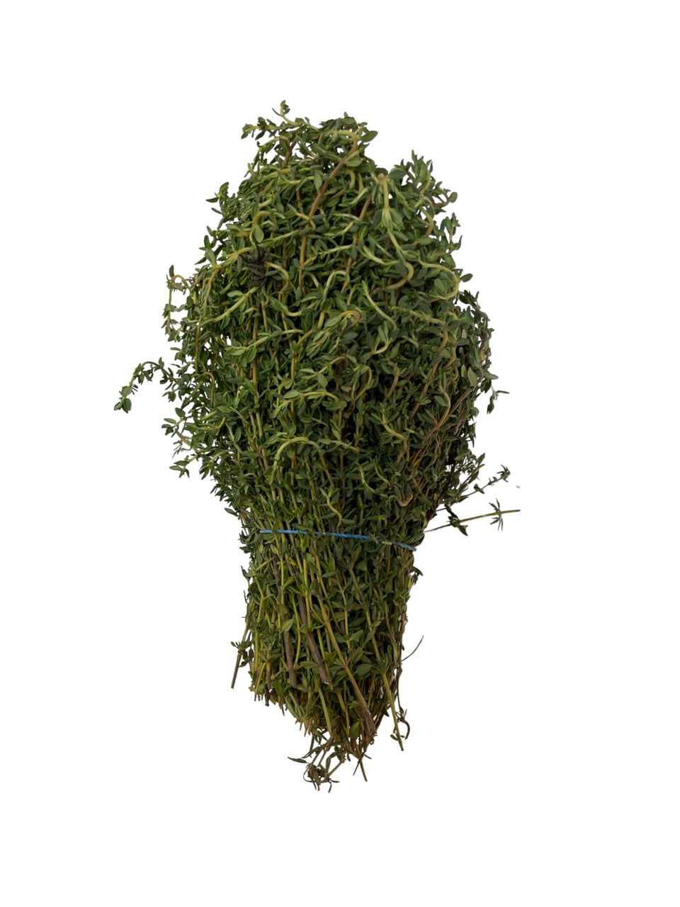 Thyme