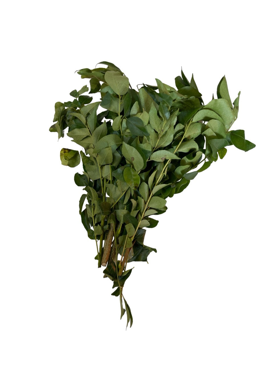 Dry Curry Leaves Pre-Pack