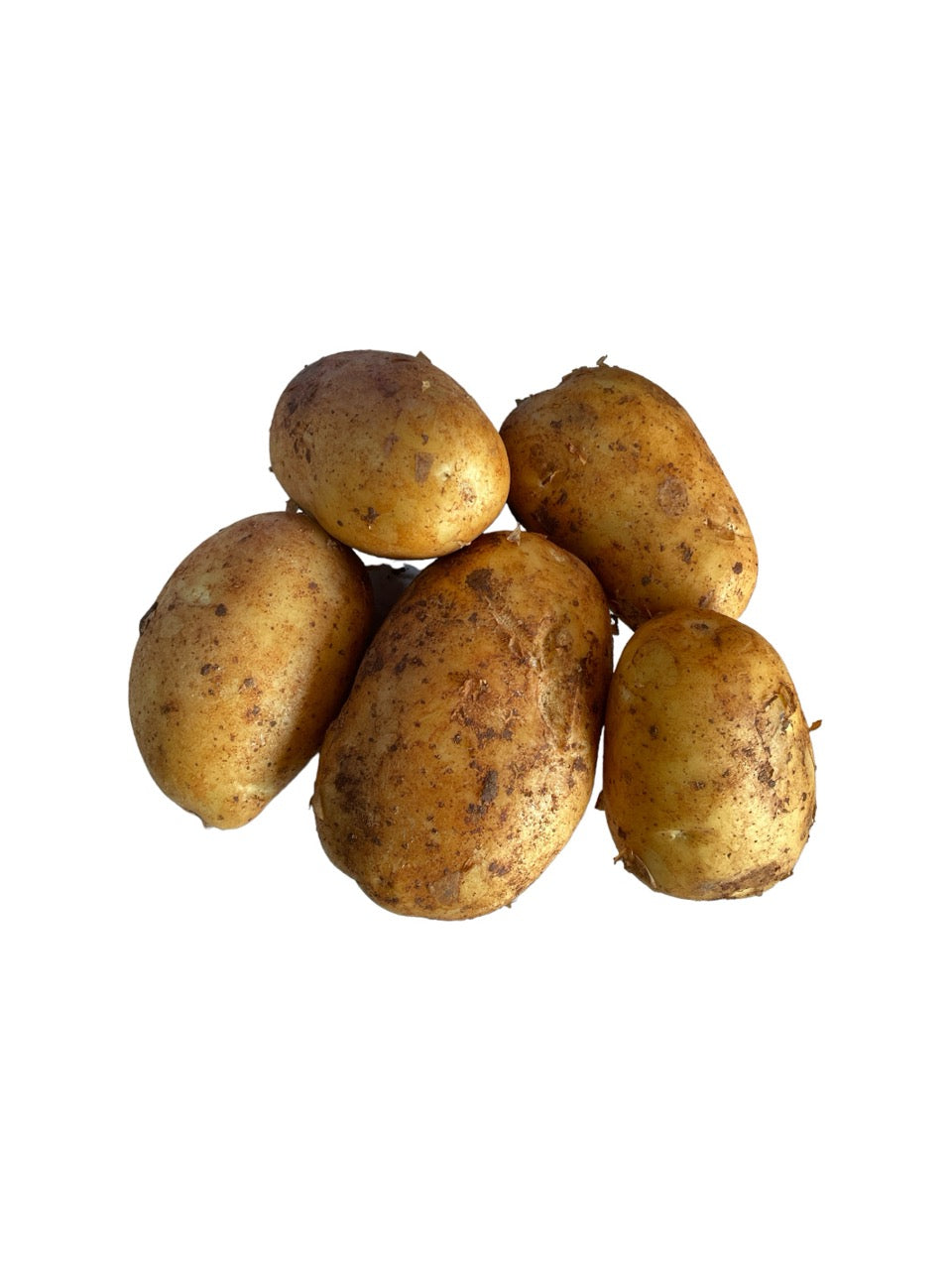 Cyprus Potato